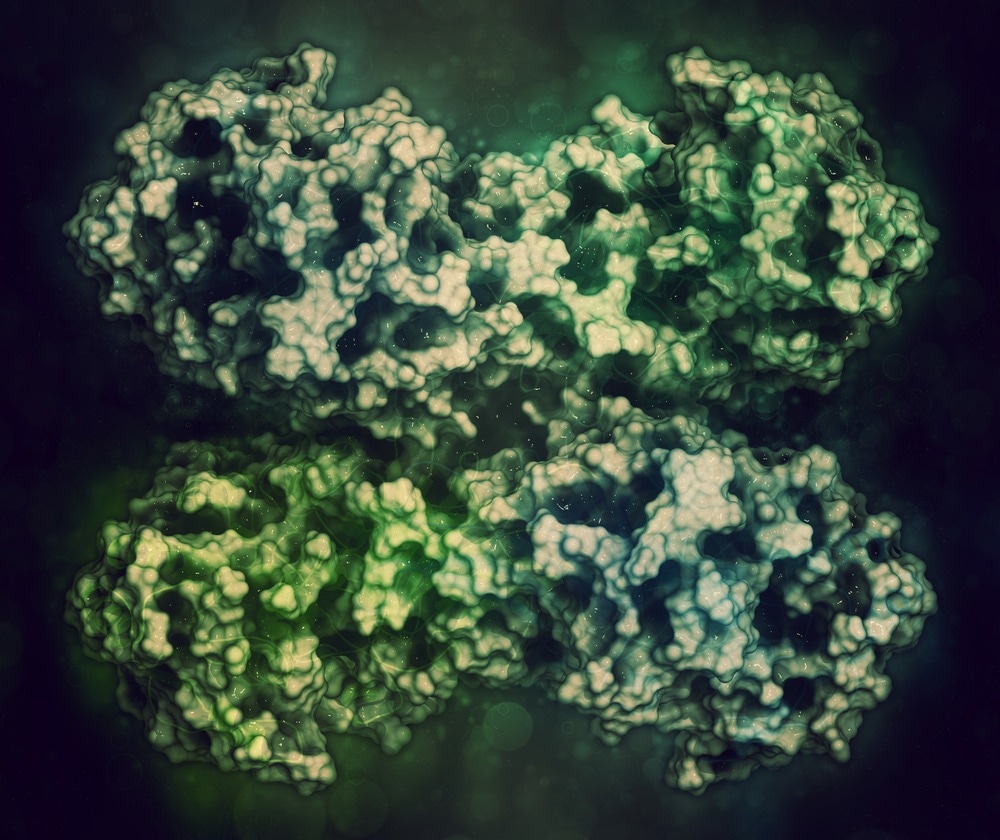 Pentose Phosphate Pathway Enzyme