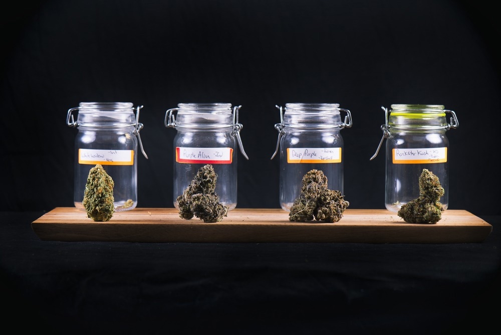 Cannabis Strains