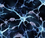 Insight into the Human Proteoform Project
