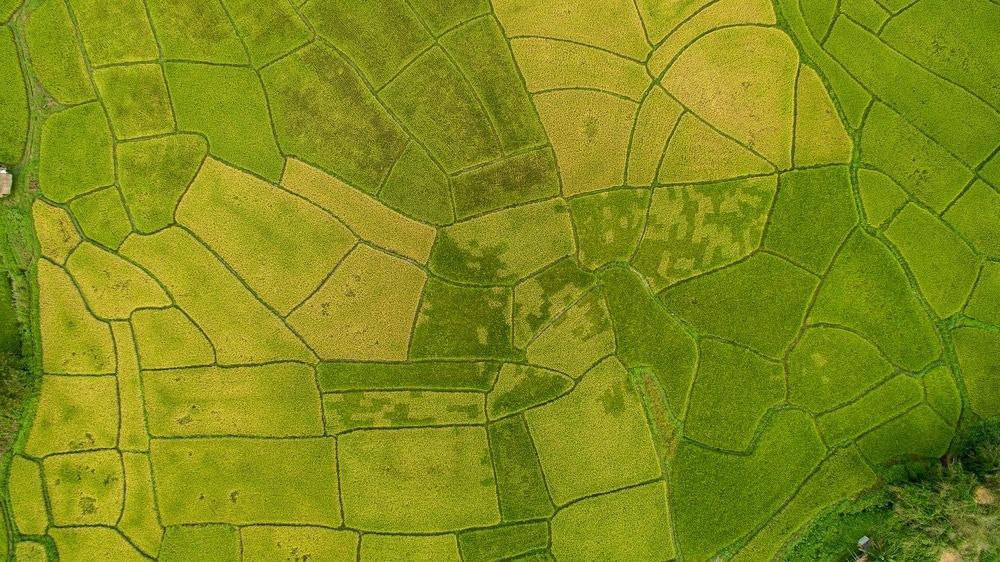Aerial Imaging