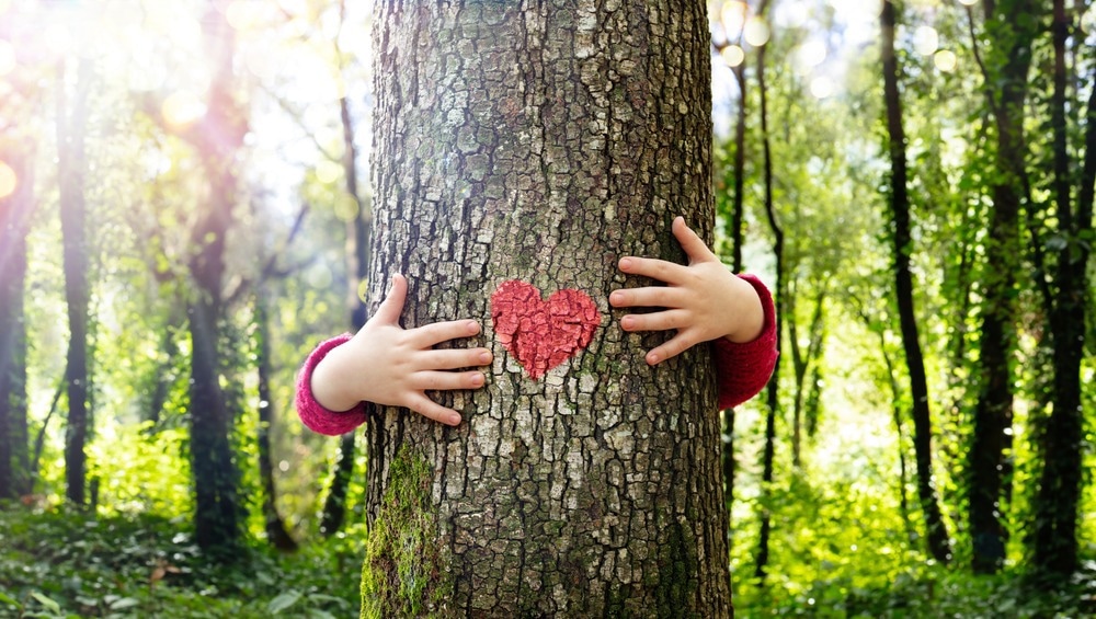 Forests and Human Health