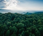 Investigating the Intersection Between Forest Health and Human Health