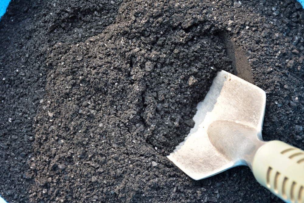 Biochar