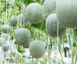 What is 'Closed Loop' Agriculture?
