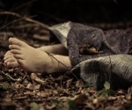 Body Farms; An Overview of Their Purpose in Forensic Science