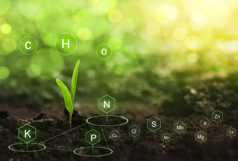 Soil Science