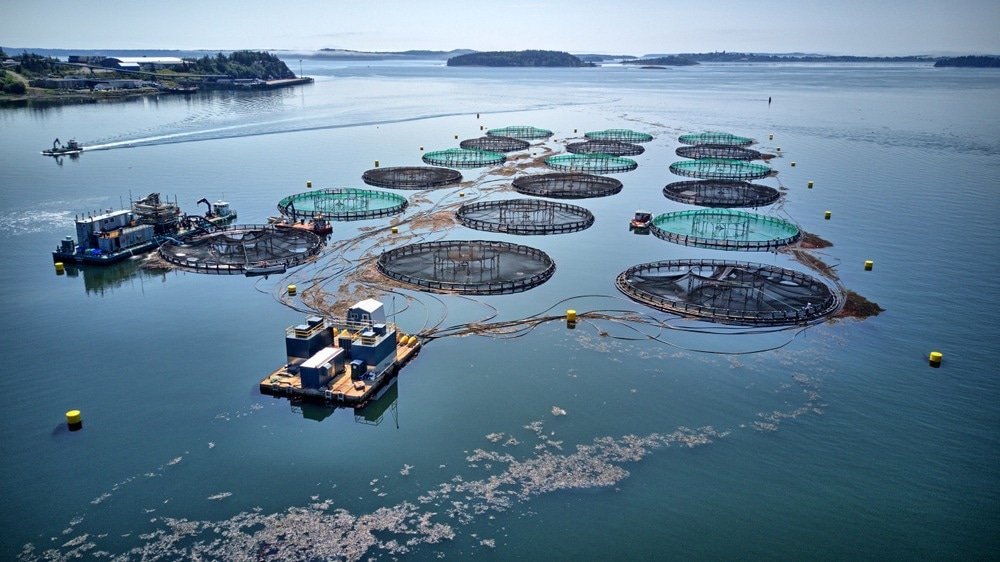 Aquaculture