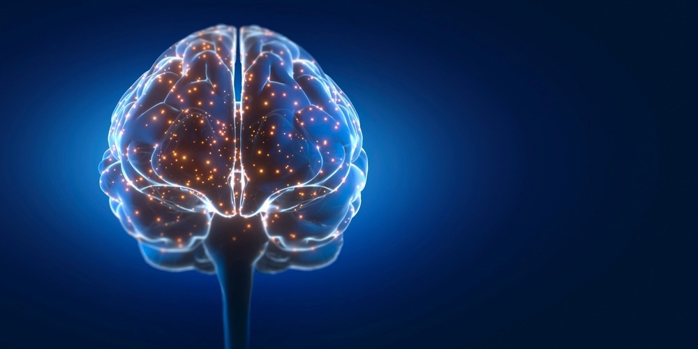 Understanding the Brain Through Electron Microscopy