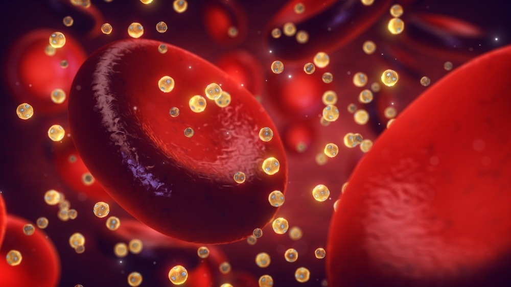 Studying the Metabolic Pathways Between Tissues