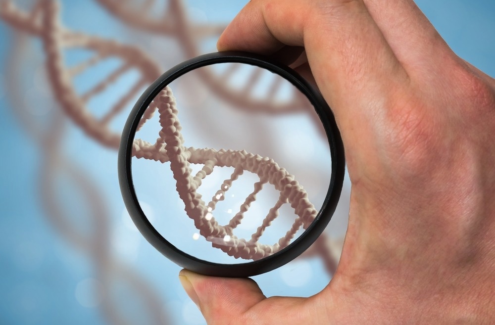 A Complete Guide to the Pax6 Gene