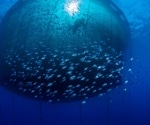 What is Cellular Aquaculture?