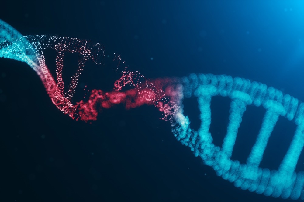 The Mechanisms of DNA Damage and Repair