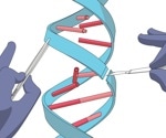 The Mechanisms of DNA Damage and Repair