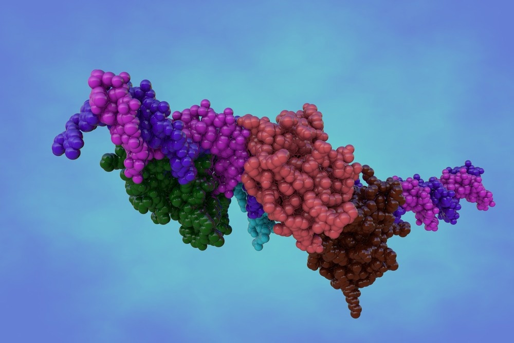 Analyzing Macromolecular Protein Complexes