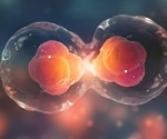 Diploblast vs. Triploblast: Unveiling the Secrets of Early Animal Development