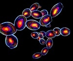 Acoustic-Assisted Hydrodynamic Focusing in Flow Cytometry