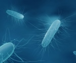 Infection Detection: Raman Spectroscopy's Role in C. Difficile Testing