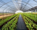 What is Controlled Environment Agriculture?