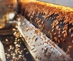 From Field to Feedlot: The Science of Grain Processing for Animal Nutrition