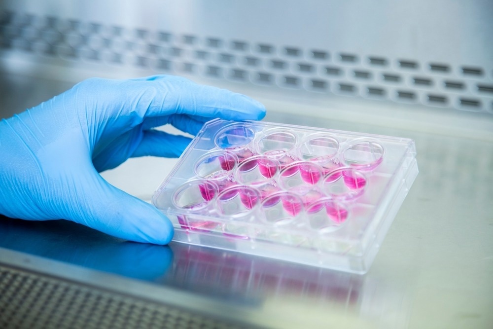 Cell culture at the cell culture,genetic,bioprocess,medicine and medical labrotory