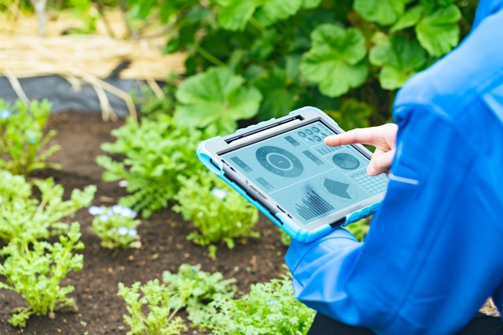 Farmer looking at a tablet in the field. Agritech. Smart agriculture.