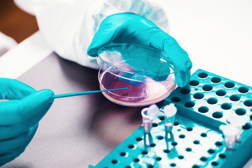 Microbiology, technician working with bacteria strains