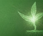 Informatics and Data-Driven Approaches in Plant Biology