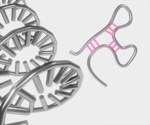 Exploring the Intriguing Biochemistry of Non-Coding RNAs