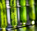 Why is Plant Biology Crucial for Sustainable Agriculture?