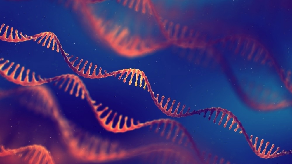 Single strand ribonucleic acid (RNA) molecules. Using RNA as component for disease treatment. mRNA vaccine research 3d illustration concept