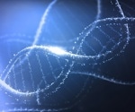 The Role of Retrotransposons in Shaping Human Genome Evolution