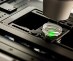 Using Fluorescence Microscopy for Genetic Applications
