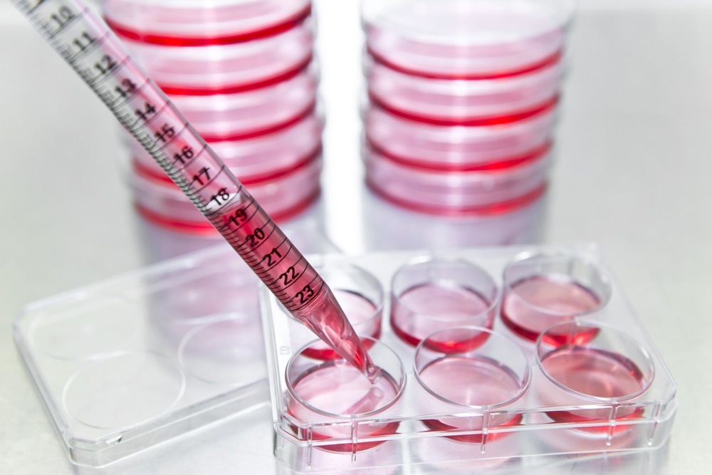 Subculture, Researcher transfer mammalian cells from a previous culture to fresh growth medium to increase the cell number