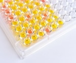 Quantitative Detection: Exploring Immunoassay Analyzers in Detail
