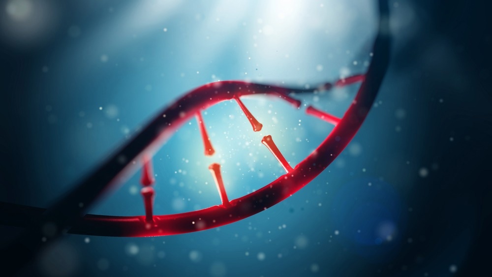 Image Credit: 3d_illustrator/Shutterstock.com