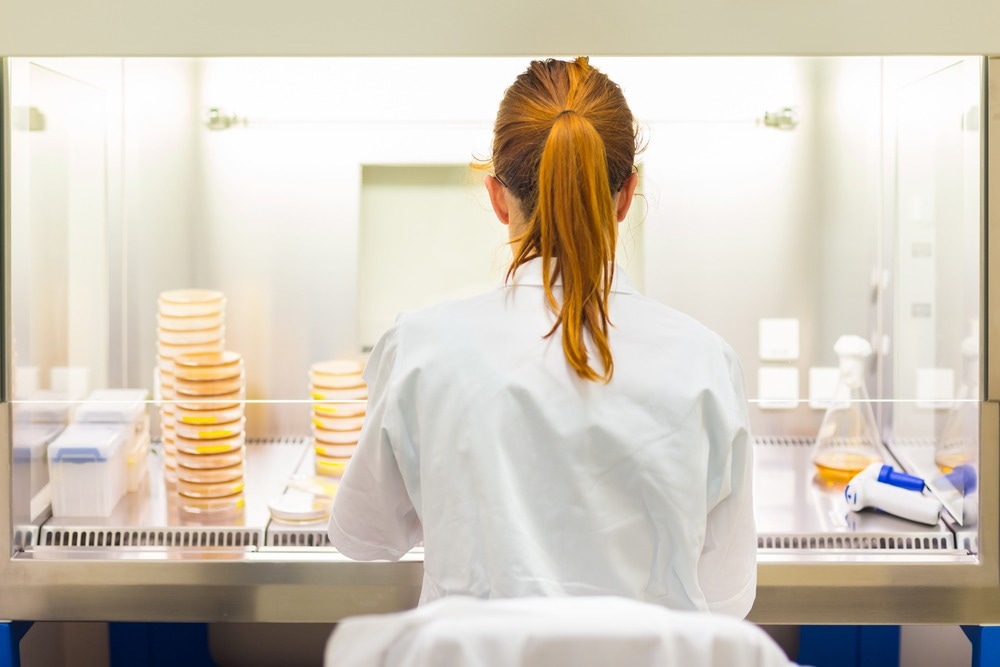 Female scientist researching in laboratory, pipetting cell culture medium samples in laminar flow.