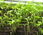 Plant Stress Physiology: Investigating Responses to Drought, Heat, and Climate Change