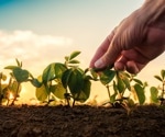 The Application of Cytogenetics in Agriculture