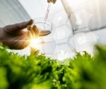 How can GMOs be safely integrated into organic farming to ensure food security?