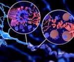 Deciphering the Mechanisms of Protein Aggregation in Neurodegenerative Diseases