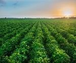 Navigating the Moral Landscape: Is the Genetic Modification of Crops Justifiable for Food Security?