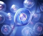 5 Surprising Things You May Not Know About Stem Cells