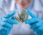 Isolation of Marine Microorganisms: Techniques and Challenges