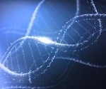 Applications of Gene Knockout and Knock-in Models in Disease Research
