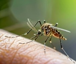 Drug Discovery for Emerging and Neglected Tropical Diseases: Advances, Challenges and Perspectives