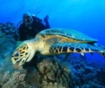 Marine Biology: An Overview