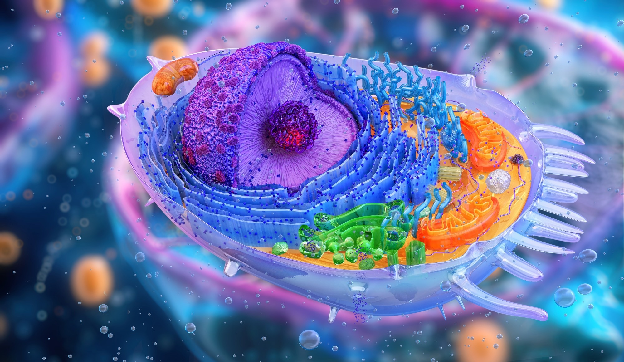Image Credit: Corona Borealis Studio/Shutterstock.com
