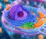 Protein Synthesis in Prokaryotes vs. Eukaryotes: What’s the Difference?
