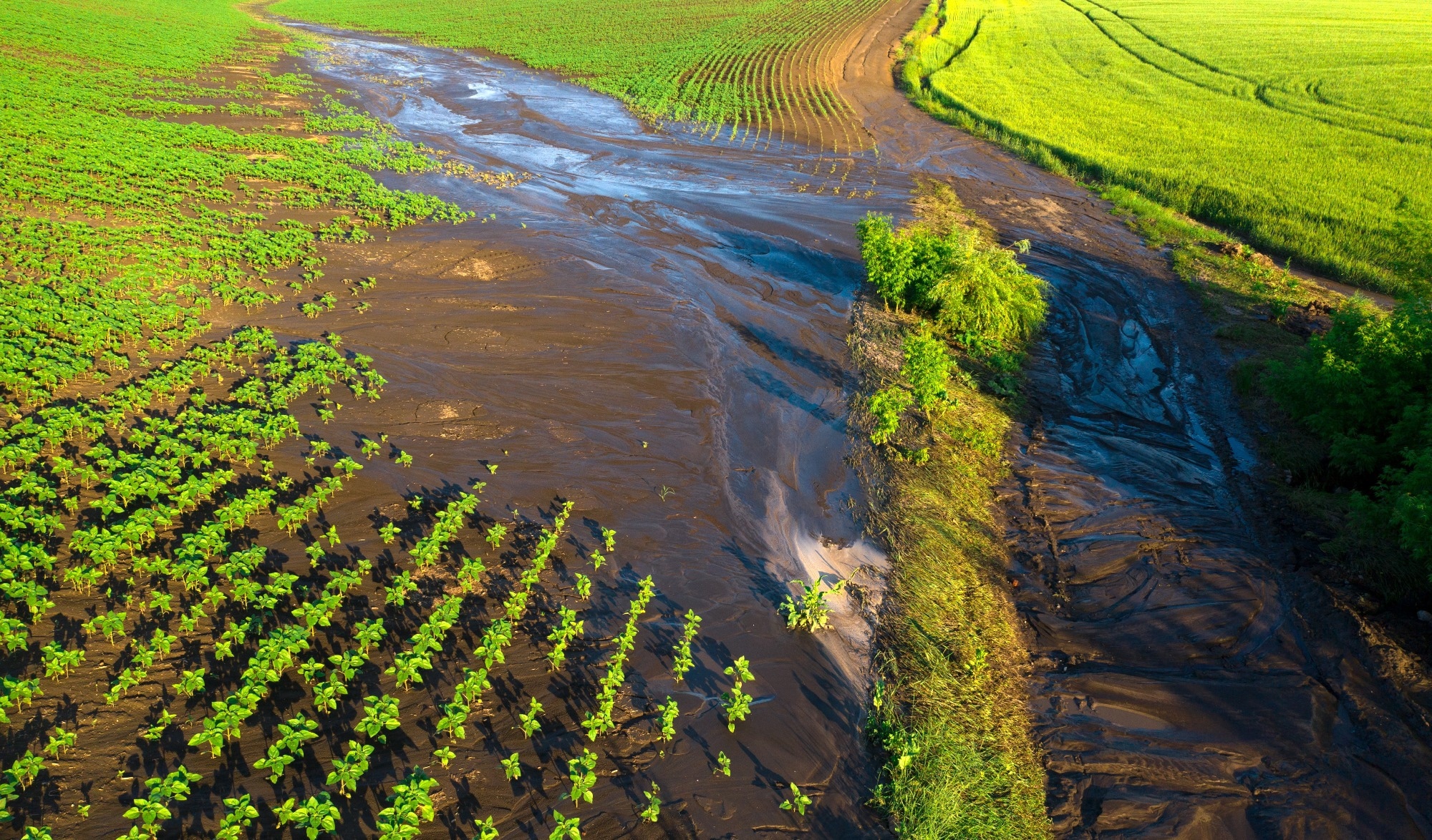 Soil erosion by water
