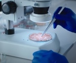 The Science Behind Lab Grown Meat